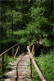 chemin en forêt