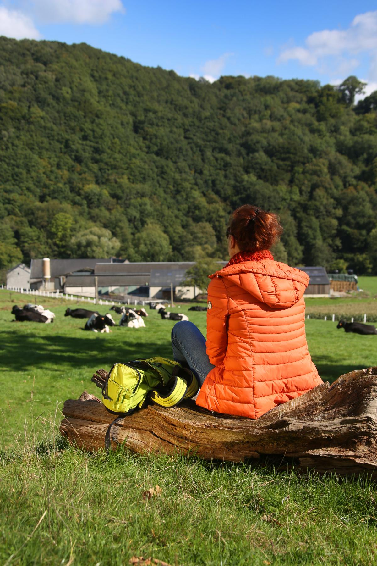 Dame assise dans l'herbe