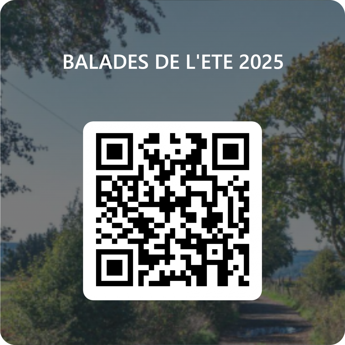 https://forms.office.com/e/tpt7kvKcDG