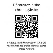 Chronoxyle