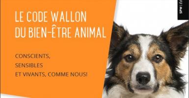 Adoption définitive du Code du Bien-être animal