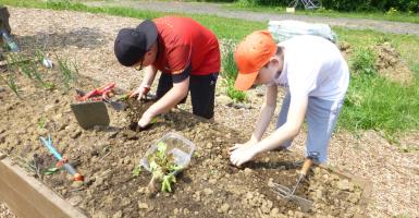 Enfants et potager