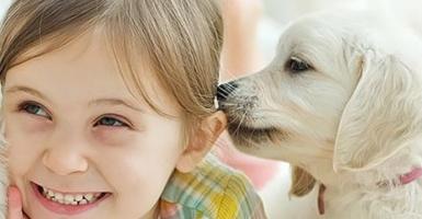 "Pense-bête", la nouvelle plateforme pour conscientiser les enfants au bien-être animal