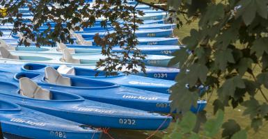 Kayaks sur la Lesse