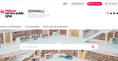 Page d'accueil du site Ediwall