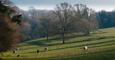 paysage de campagne