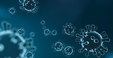 Virus