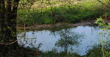 cours d'eau non navigable