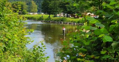 Pêcheur dans la Semois