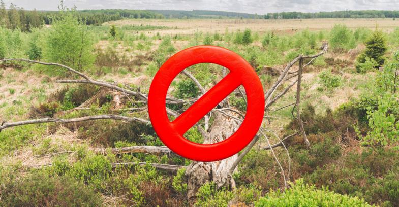 interdiction circulation forêt