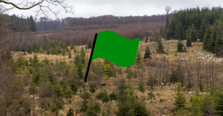 drapeau vert hautes fagnes