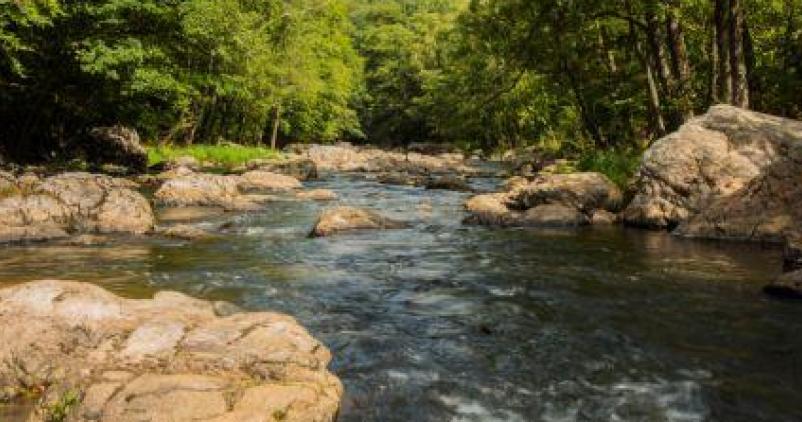 Cours d’eau non navigables : vers une gestion plus durable
