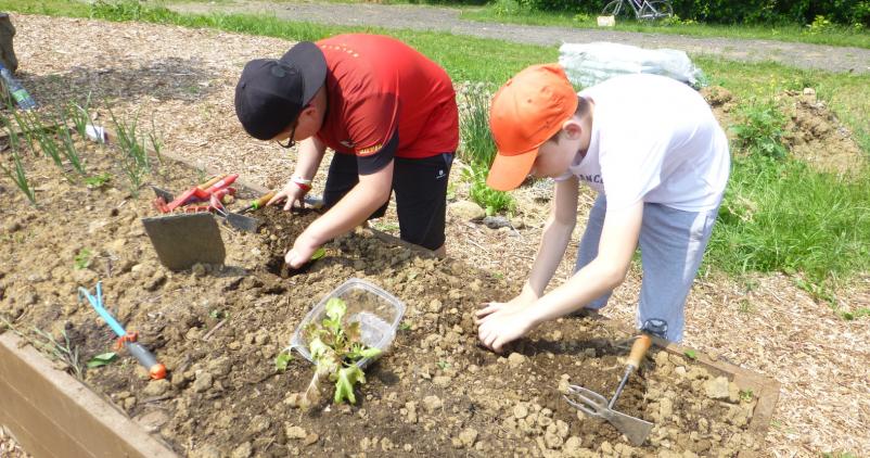 Enfants et potager