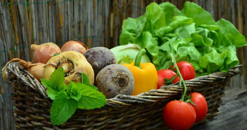 Un Green Deal pour des cantines durables