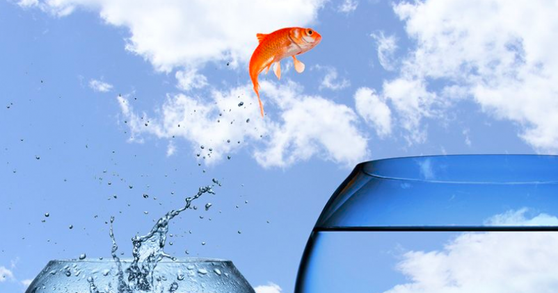 Doper la croissance de l'entreprise