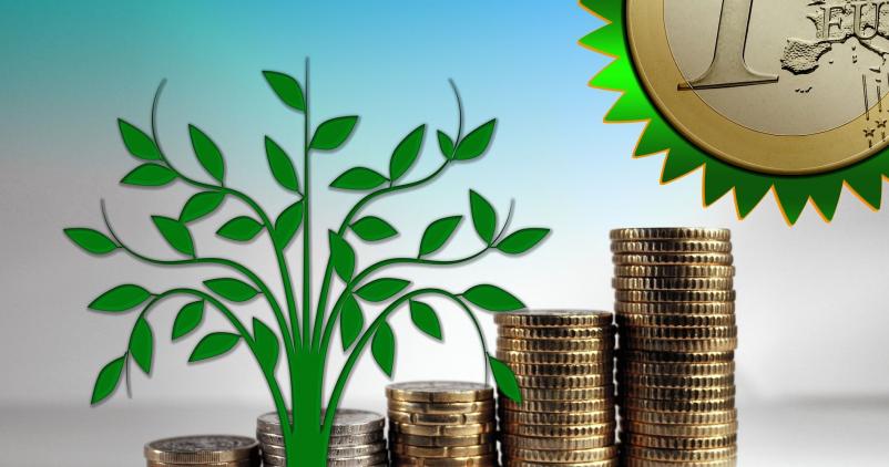 Green bond Wallonie