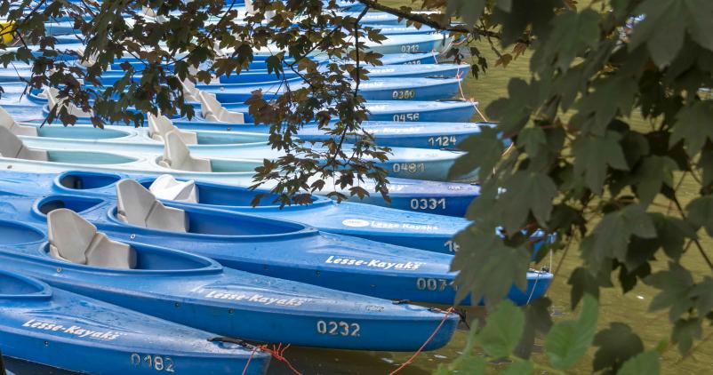 Kayaks sur la Lesse