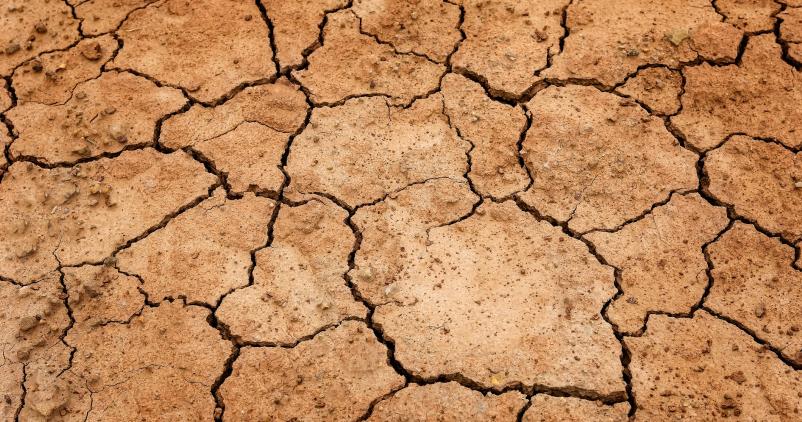 Sol aride, victime d'une sécheresse sévère