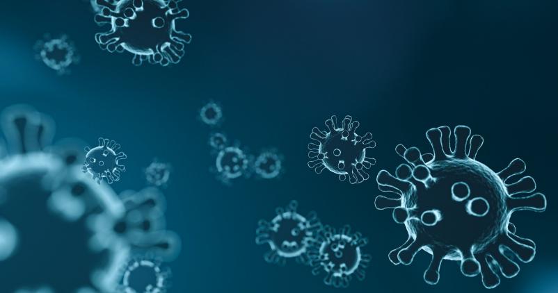 Virus