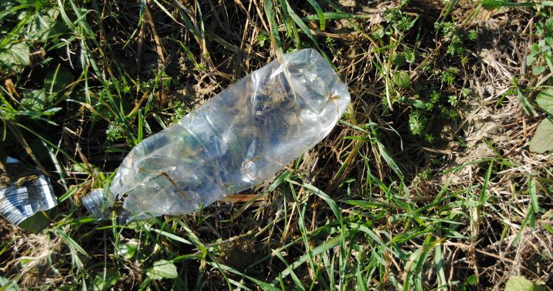 bouteille en plastique dans la nature
