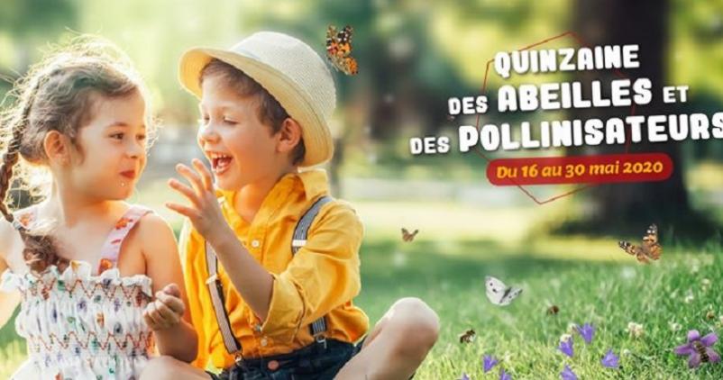 visuel de l'opération
