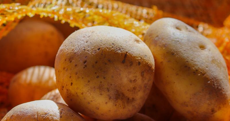 pommes de terre