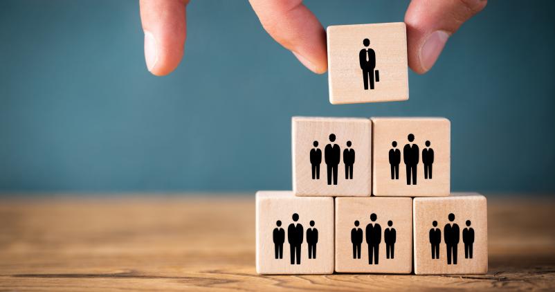 Pyramide hiérarchique en entreprise