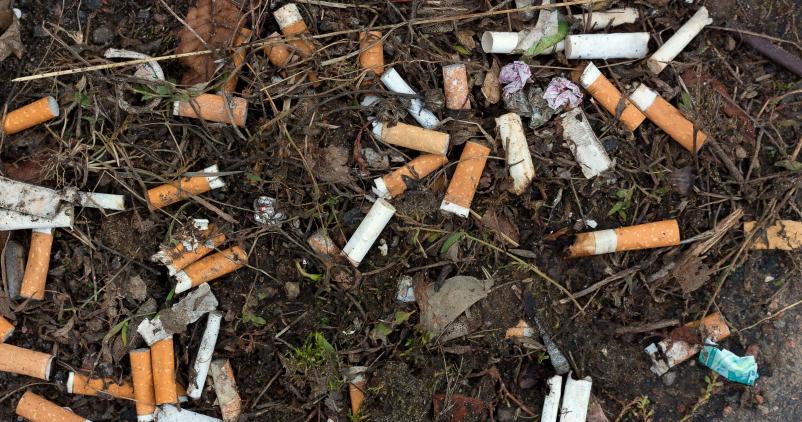 Les mégots : un déchet sauvage