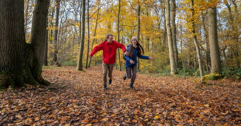 00043150 WBT%20 %20S%C3%A9bastien%20Roberty Promenade%20dans%20le%20Bois%20du%20Grand%20Bon%20Dieu