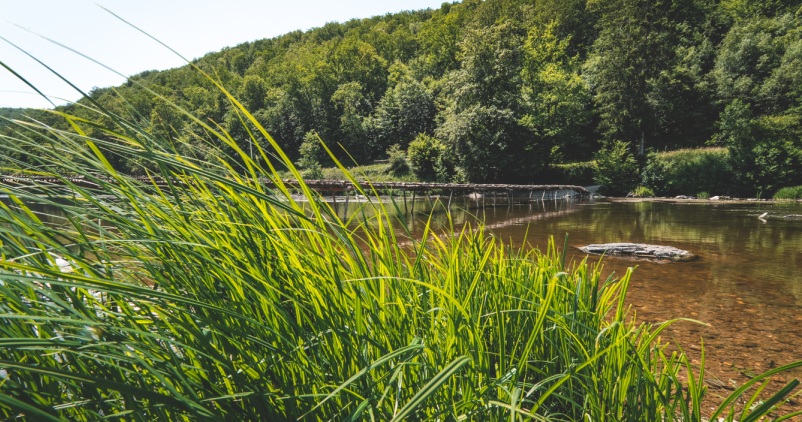 Capture%20d%27%C3%A9cran%202023 12 15%20110538