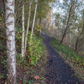 Terril du Martinet
