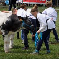 Foire de Libramont