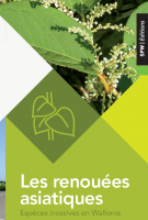 renouées asiatiques