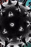 virus