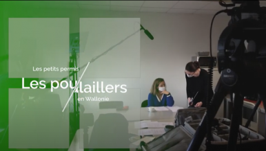 Cette vidéo explique les dispenses de permis pour les petits travaux et plus spécifiquement les poulaillers. Elle est disponible en version sous-titrée.